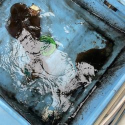 マイボートで春アオリを