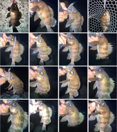 2022ライトゲーム第10戦