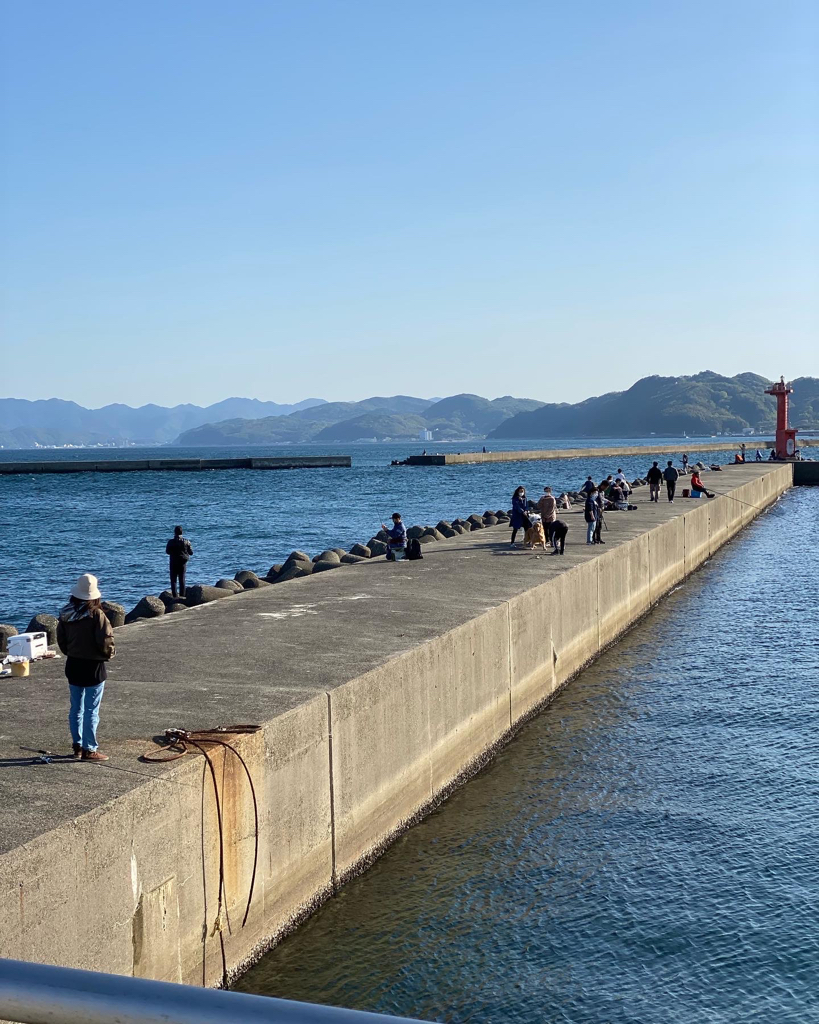 花見カレイ狙い