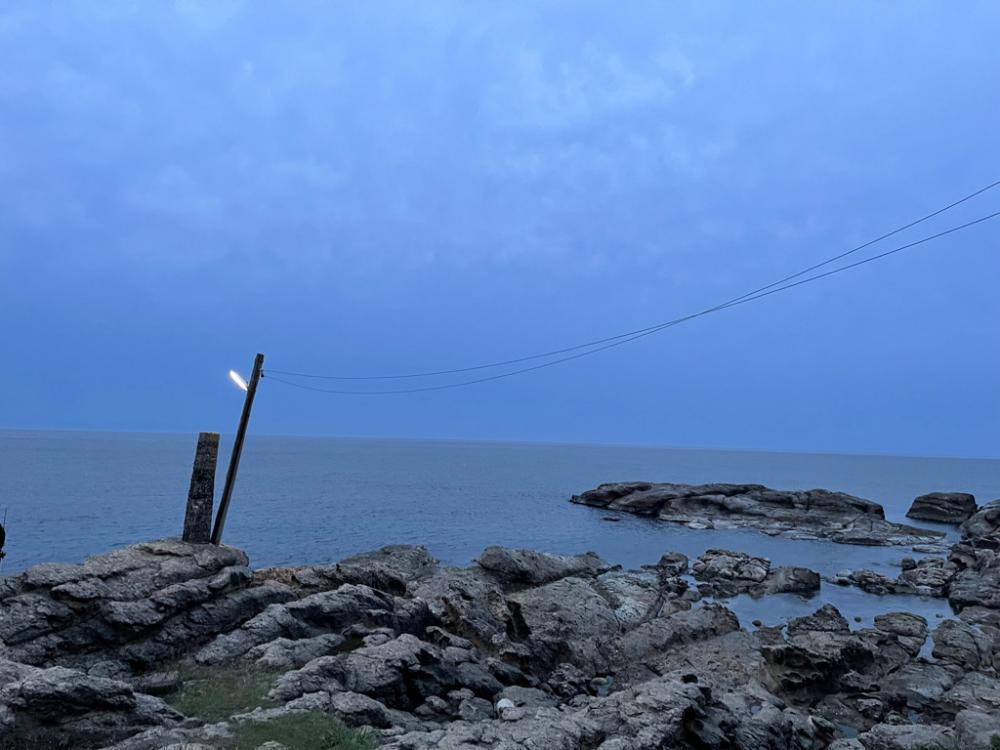 青物狙いのはずなのに…