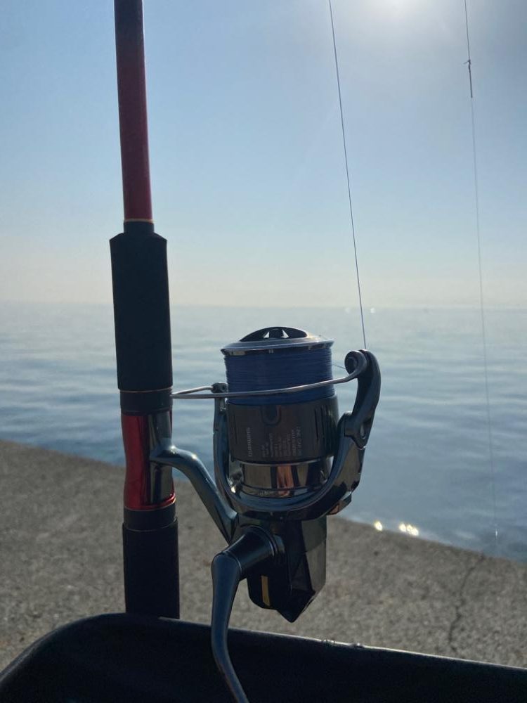 淡路島も開幕してました!