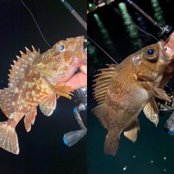 ポイントに合った釣り方