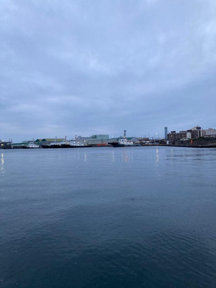 イナッコの大群に邪魔されて