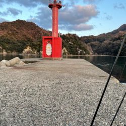 春が来たのでメバリング