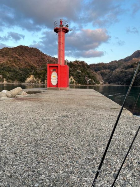 春が来たのでメバリング