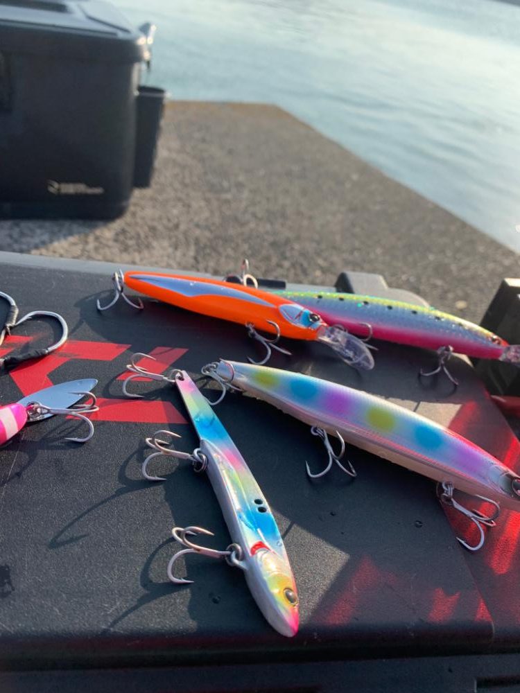 チニングにショアジギに最高な1日。