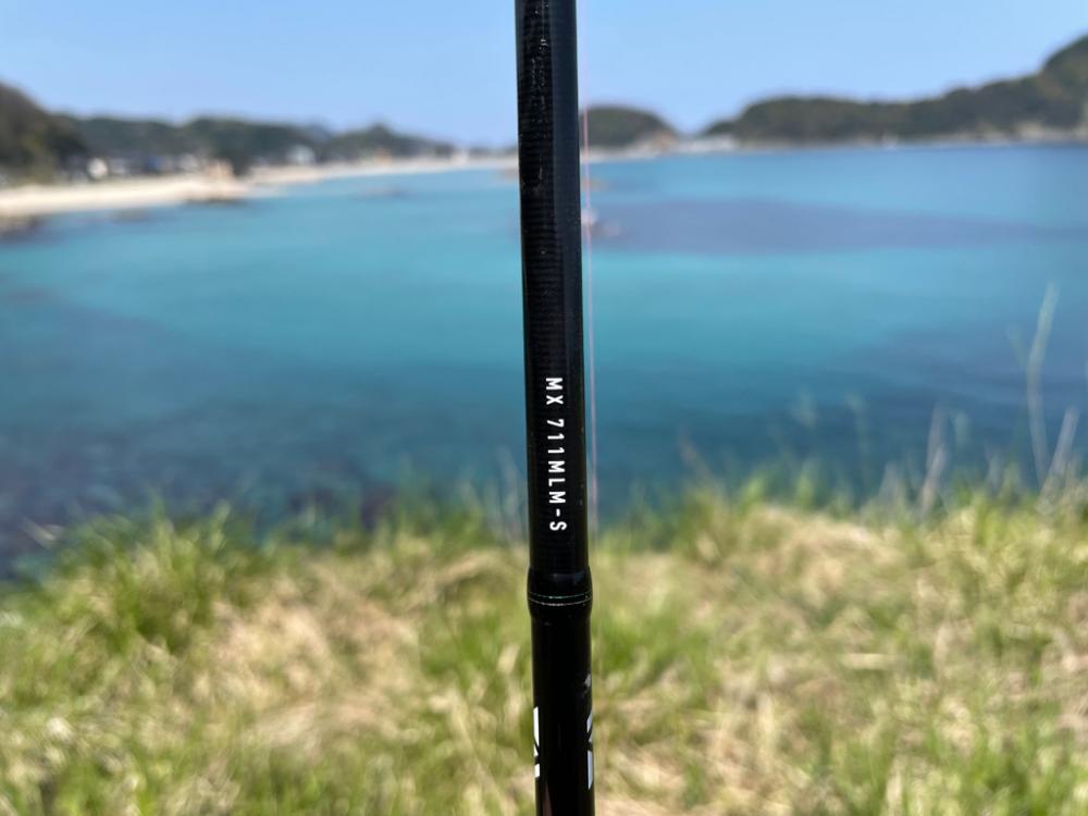 エギングでの嬉しいゲスト (リリース)