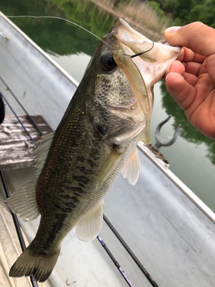 桜池でプチ春爆!?