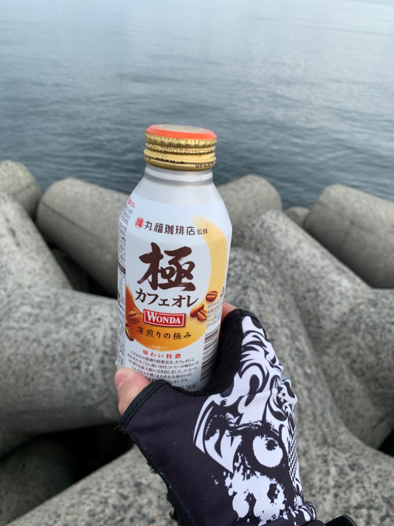 今期初波止グレ