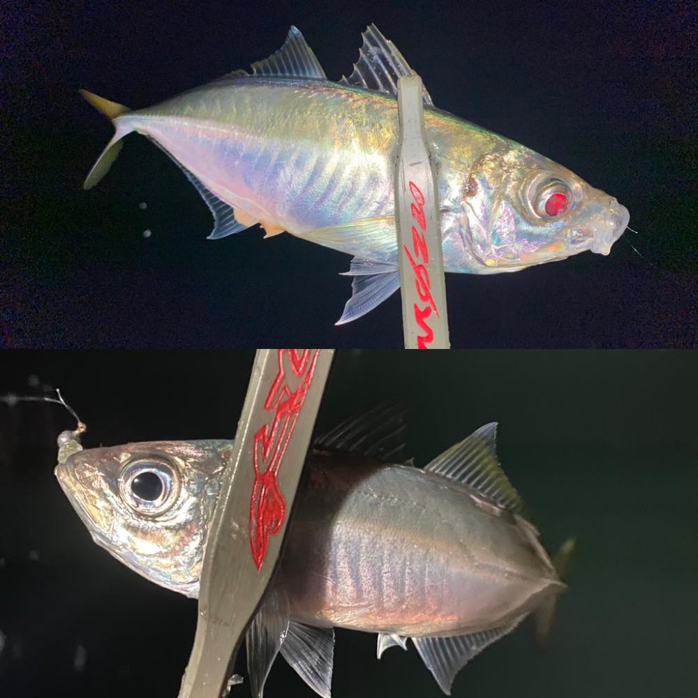 久々のホームグラウンドわ