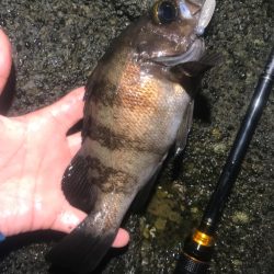 久しぶりの良い釣りでした