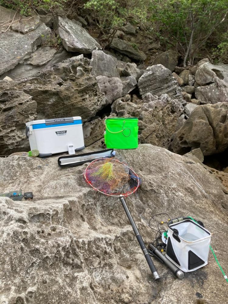 春アオリ狙いのはずが、天敵サメでした。