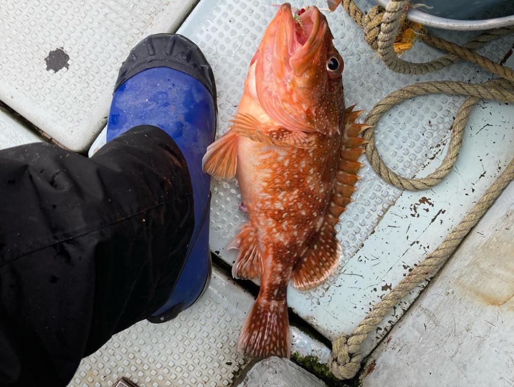 日本海丹後ジギング筋トレ