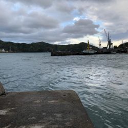 爆風(やばい)アジング