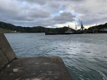 爆風(やばい)アジング