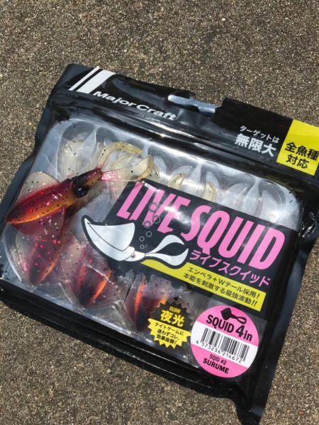 エギングの合間にロックフィッシュゲーム