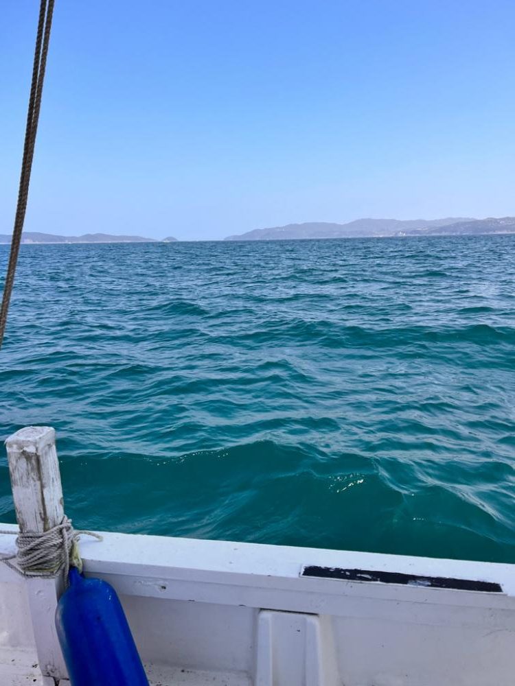 五目釣りになりました