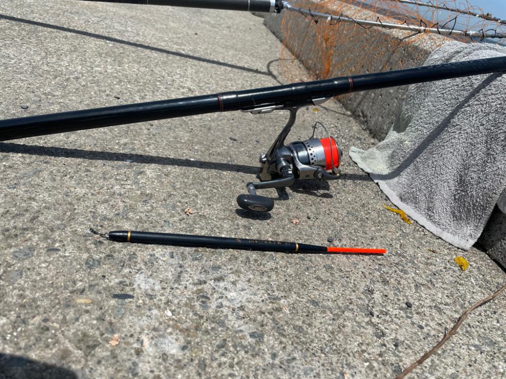 足元フカセで、のっこみチヌ！