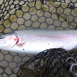 初フィッシングレイク高宮！