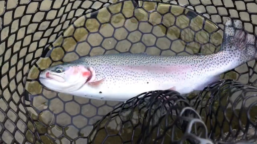 初フィッシングレイク高宮！