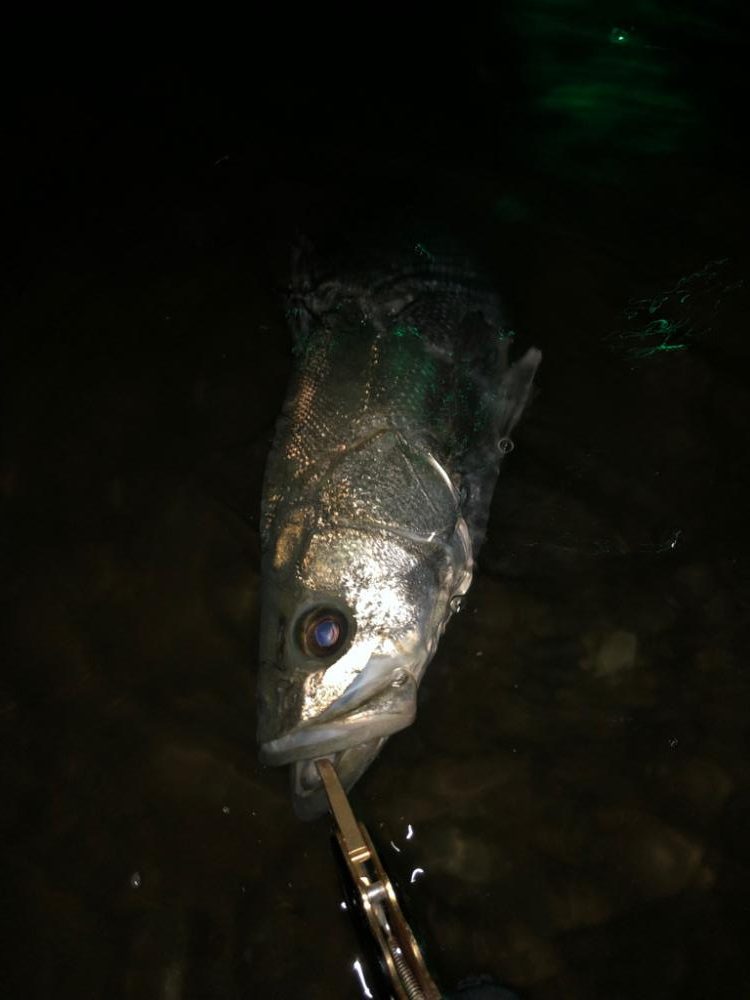 粘ってなんとか