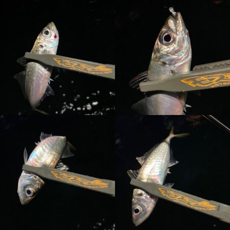 固定観念はダメですね。