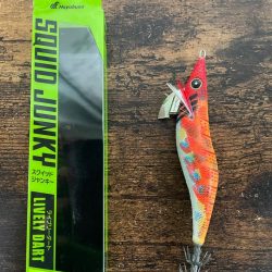 アオリイカ2キロ捕獲