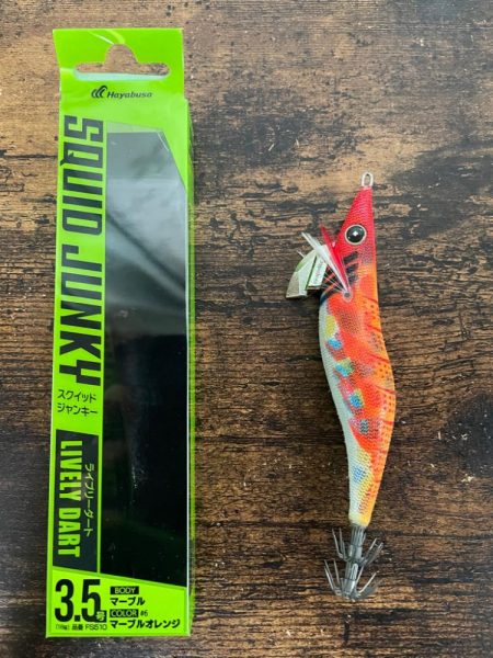 アオリイカ2キロ捕獲