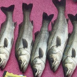 天気と風が全くちゃう(苦笑)