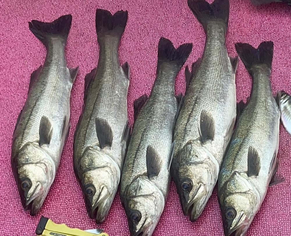 天気と風が全くちゃう（苦笑）