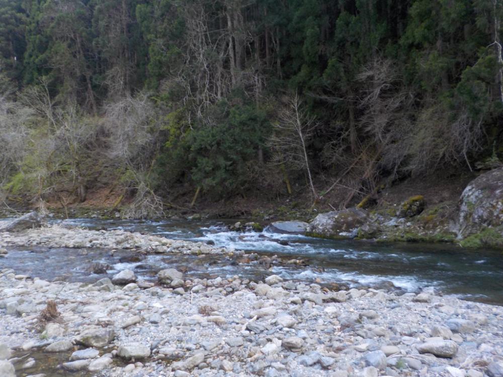 美山リベンジ釣行