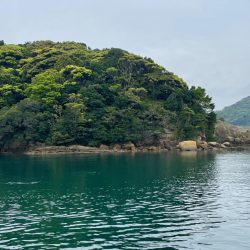 雨にも負けず❗️チヌにも負けず❗️
