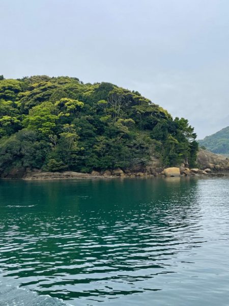 雨にも負けず❗️チヌにも負けず❗️