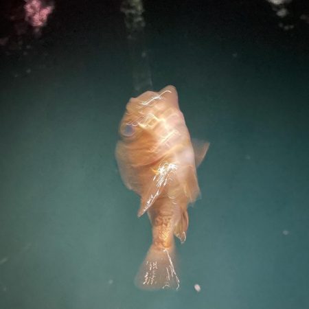 久しぶりの釣り場で