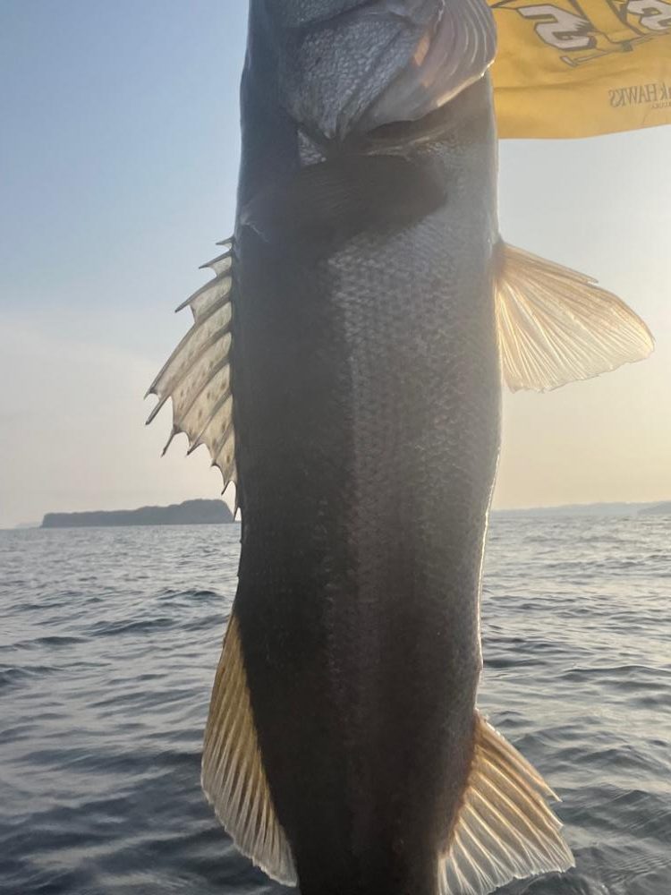 今年初カヤックフィッシング！