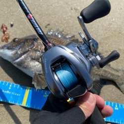 淀川ブリームゲーム　22メタのファーストフィッシュ！