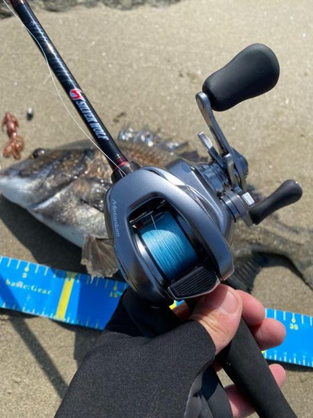 淀川ブリームゲーム　22メタのファーストフィッシュ！