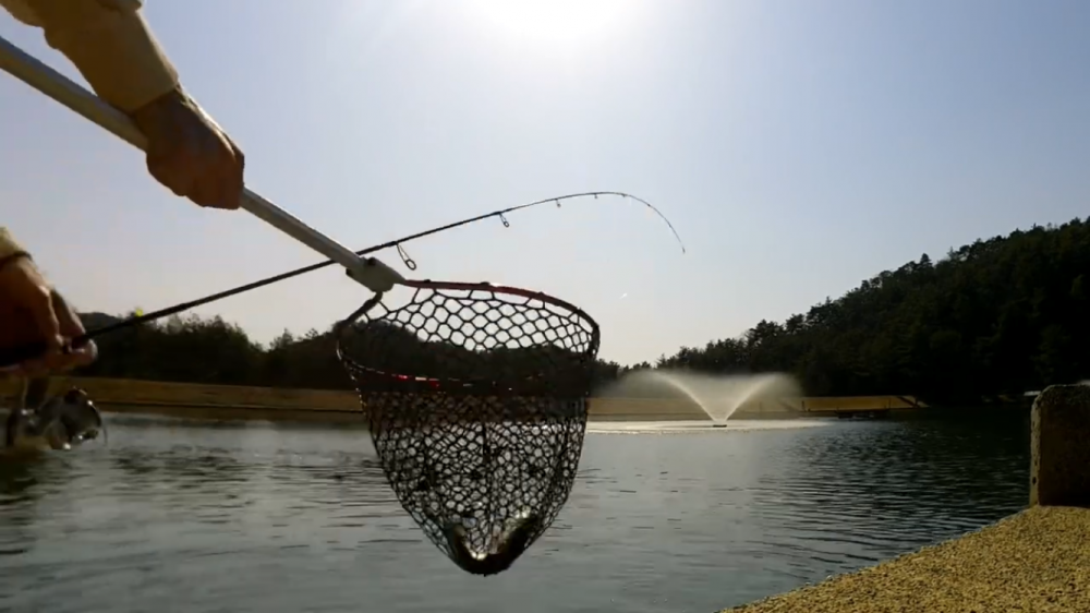 何だかんだトラウト数釣り