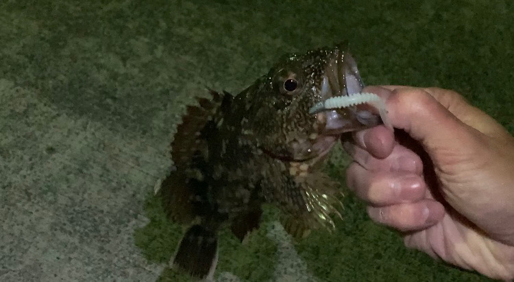 初浜田ライトゲーム！