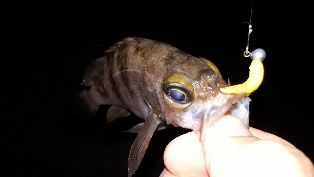 淡路島をランガンルアー