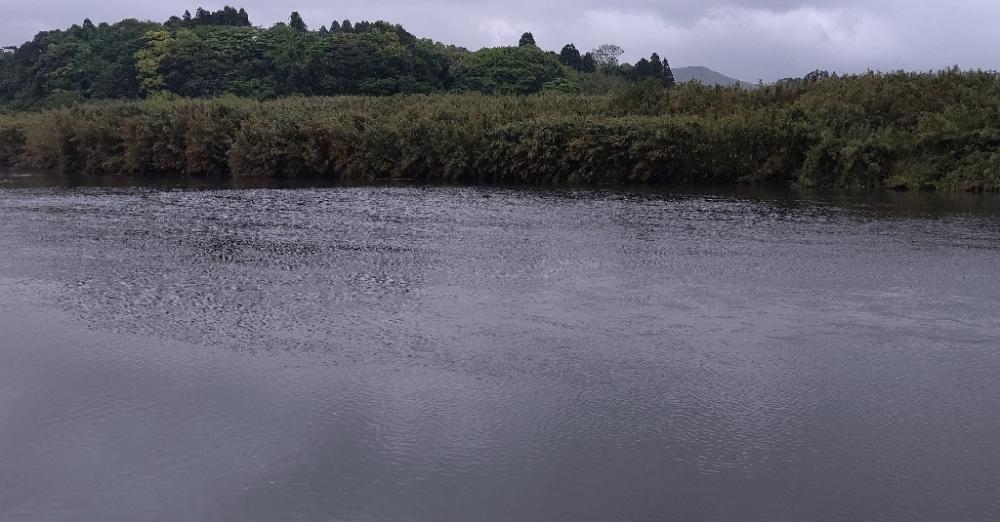 雨が降ったらリバーシーバス