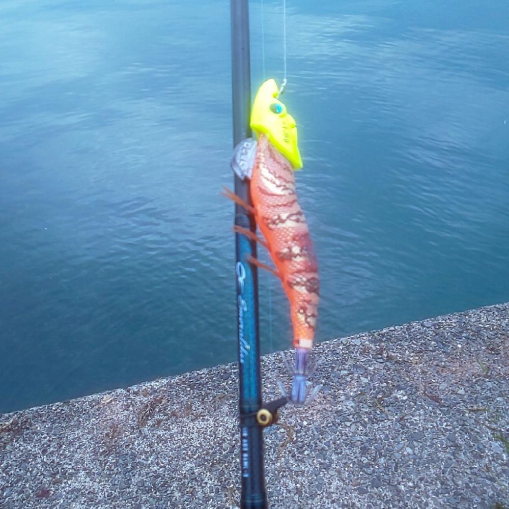 メバリングでオコゼ