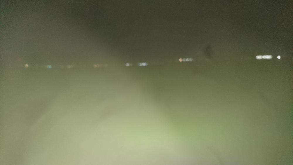 シーバス釣り 雰囲気とても良い