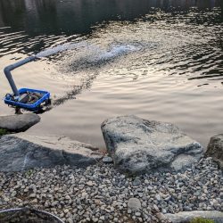 今年最初の川場キングダムフィッシング