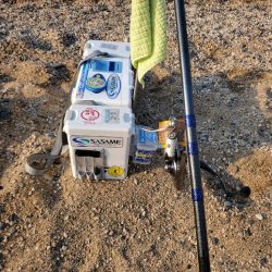 敦賀のキス偵察