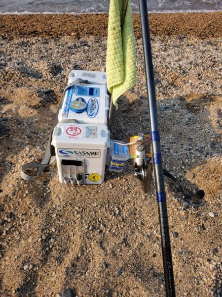 敦賀のキス偵察