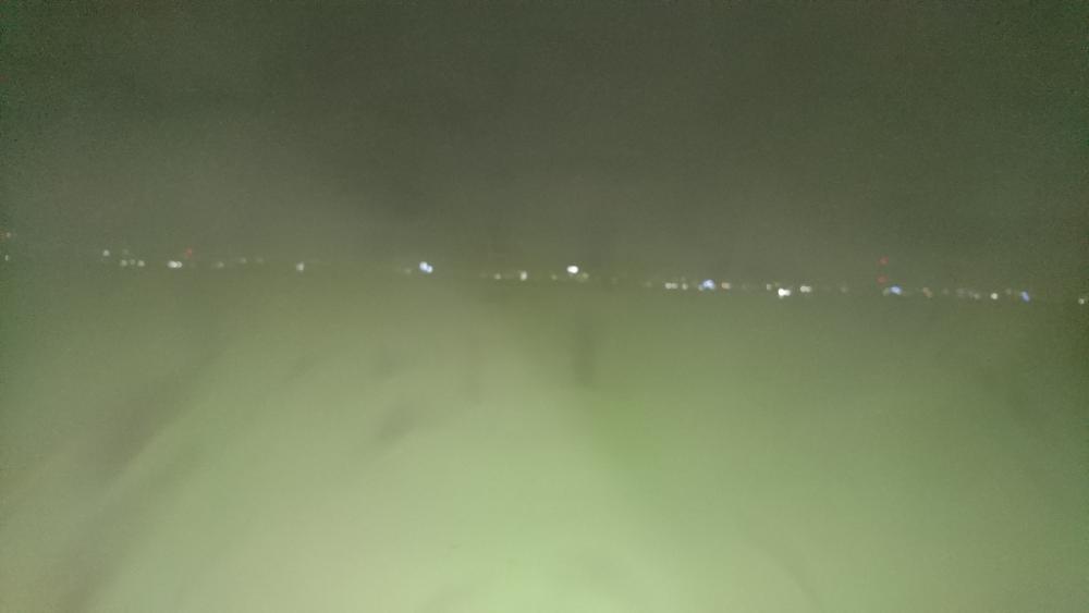 シーバス釣りたい