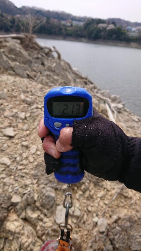 表層死にかけワカサギパターン