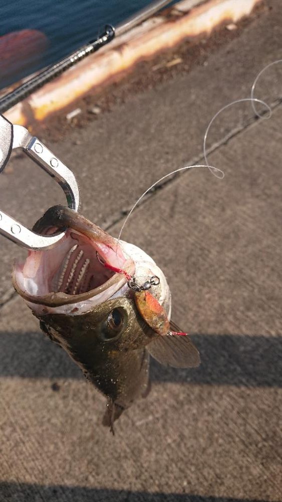 2022停泊船ゲーム1