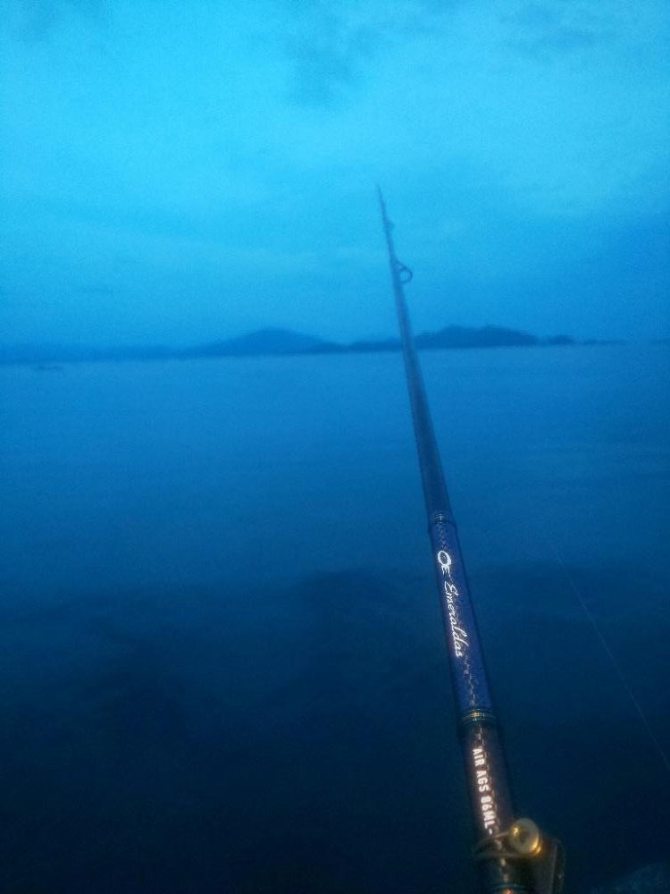 ダイソーエギ蓄光チューン